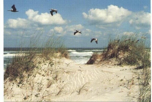 Strand