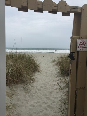 Beach at Edisto