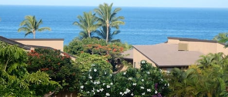 View of the ocean from our lanai.  