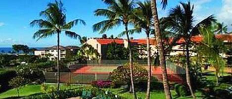 Maui Vista grounds are surrounded by tropical beauty, 