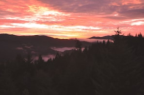 Sunrise Redwood Valley