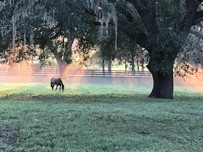 Florida Breeze - Farm stay - 6 miles from I-75 - 