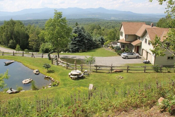 above pond looking west