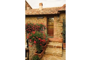 Flower, Plant, Building, Window, Wood, Rectangle, Flowerpot, Petal, Brick, Tints And Shades