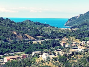 Vue aérienne