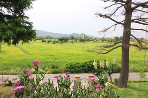 Natur, Natürliche Landschaft, Vegetation, Natürlichen Umgebung, Wiese, Baum, Frühling, Pflanze, Garten, Botanik