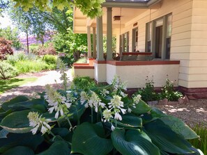 Beautiful summer gardens