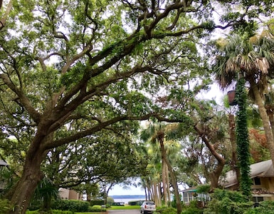 Elegant St. Simons Island Honeymoon Beach Cottage Near Pier Village