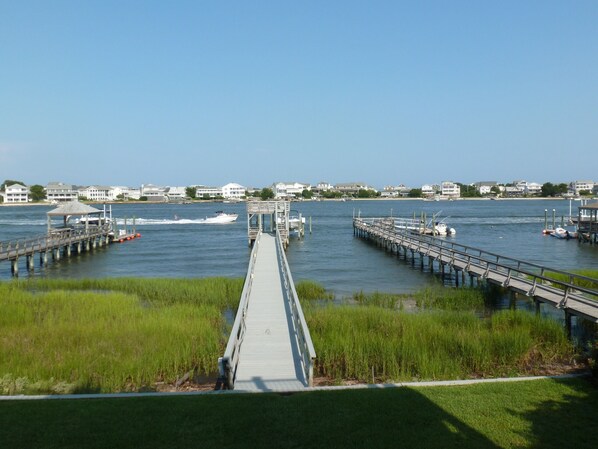 Your Dock for the week!