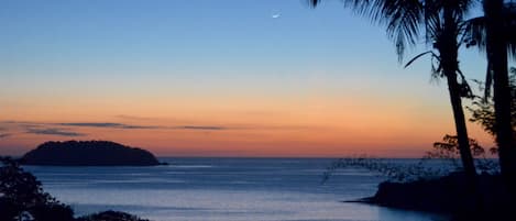 Vue sur la plage ou l’océan