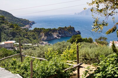 MERAVIGLIA SU CAPRI - Capri view apartment with pool on the Sorrentine Peninsula