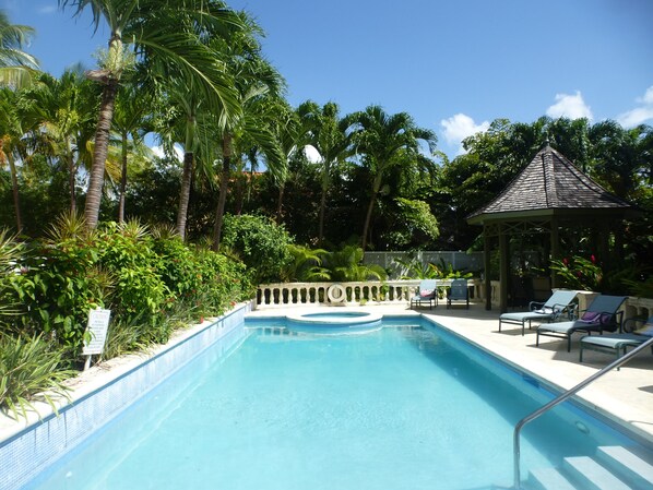 The beautiful pool