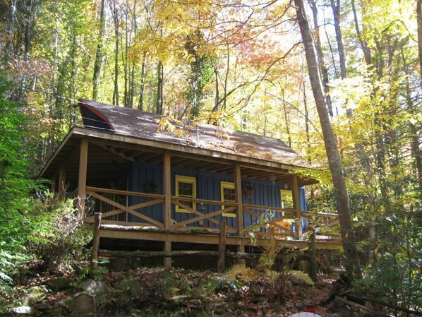 Cozy Cabin at a GREAT price*****