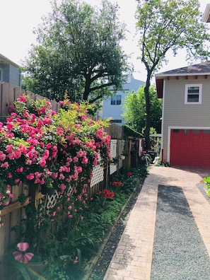 Driveway to apartment parking