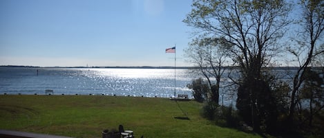 Looking South from the 1st Floor deck