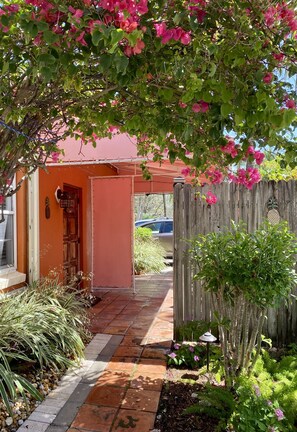 Front entry with lush vegetation 