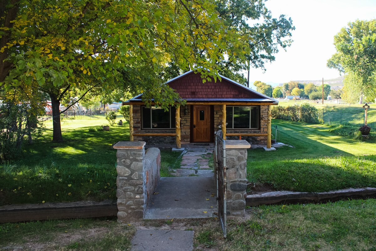 Main Image
