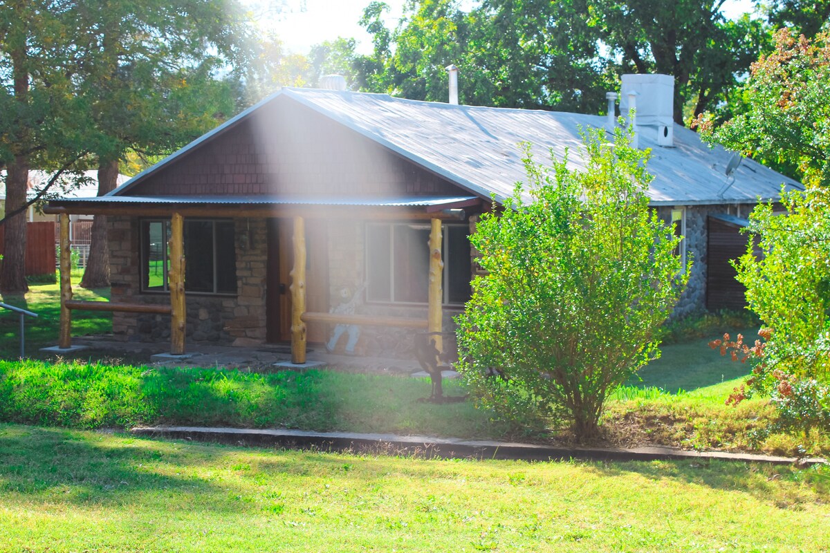 Main Image