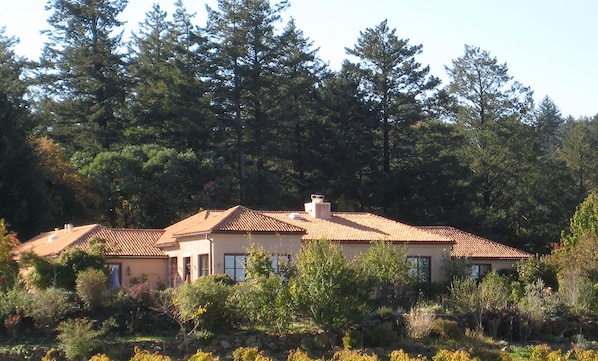 Main house, view from across vineyard