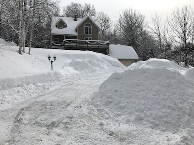 4BR Jackson Home, Mountain Views from every room. $25 per dog per night.