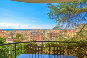 Balcony / Terrace / Patio