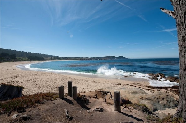 View of Point Lobos from property