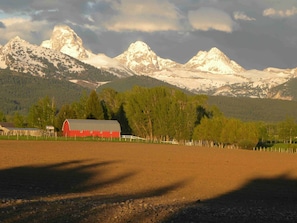 View of the Tetons from the deck.
The dirt field is now alfalfa.