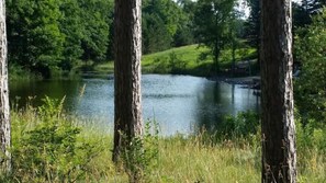 One of the views of one of the bays of the lake.