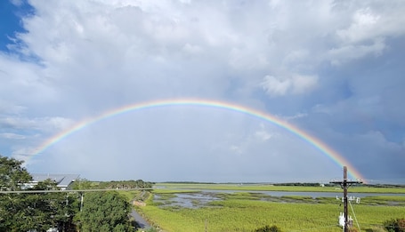 This photo was taken by a guest during their vacation at Birdseye View.