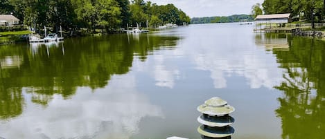 View from the dock