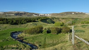 A walk towards the mountain and experience the smallest forrest on earth :)