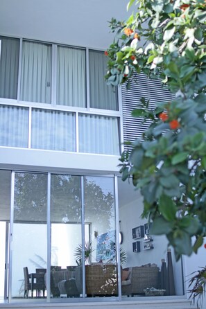 View from the rear