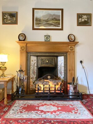 Lounge fireplace.  Freestanding electric fire can be removed for open log fire