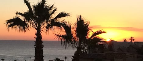 Vue sur la plage/l’océan