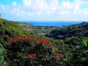 View From Back Deck Overlooking Ocean & Nearby National Wildlife Refuge