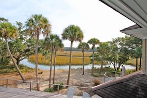 Enjoy viewing Seabrooks abundant wildlife and changing colors of the marsh