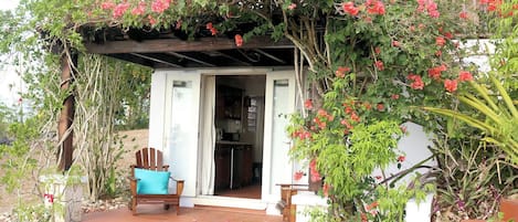 The bougainvillea covers the trellis creating a cool space to relax.