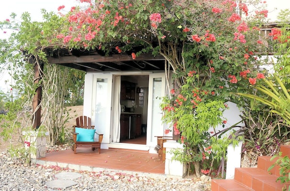 The bougainvillea covers the trellis creating a cool space to relax.