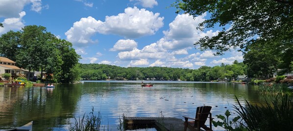 Lake Chaffee from the back yard
