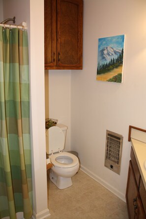 Guest bathroom