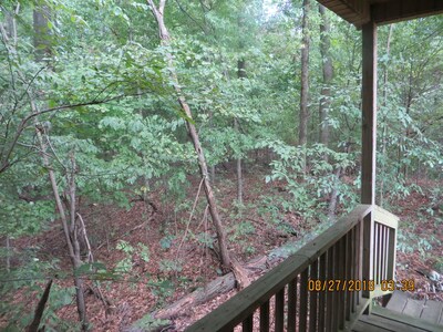 Quiet Country Cottage on Family Farm, 30 min from Paducah