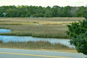 Front Porch View of Saltwater Creek