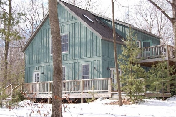 the house 