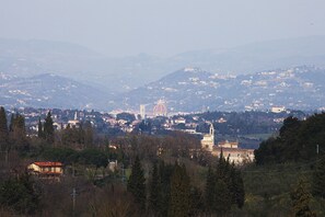 A view of the city centre of Florence from the tower of the villa