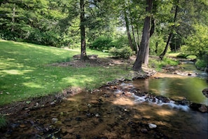 Paint creek and firepit
