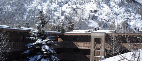 View of Mt. Royal from Front Deck of our Unit