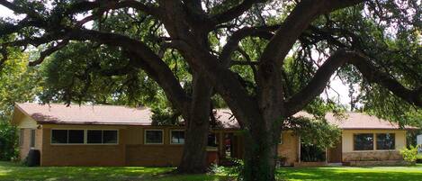 Front yard.