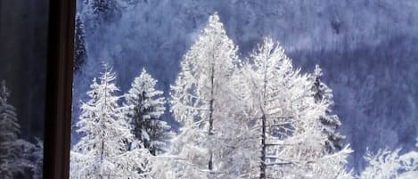 Vista dalla struttura