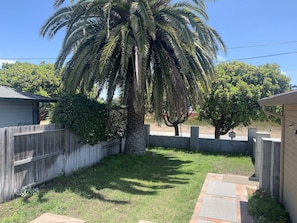 Newly Built Front Yard Wall