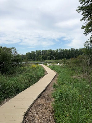 New path to lake and dock.  